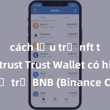 cách lưu trữ nft trên ví trust Trust Wallet có hỗ trợ BNB (Binance Coin) không?